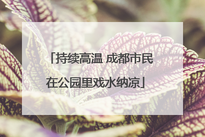 持续高温 成都市民在公园里戏水纳凉